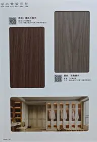 色卡 12